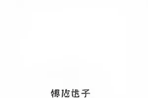 合同里的小字租房避坑视频封面