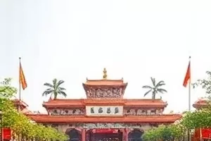 父母手机里的秘密家庭观察视频封面